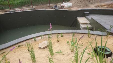 Création d'une piscine naturelles BioNova par votre paysagiste basé à côté de Rennes