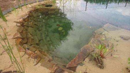 Création d'une piscine naturelle BioNova par votre paysagiste concepteut basé proche de Rennes