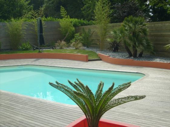 plantation d'arbre en bord de piscine