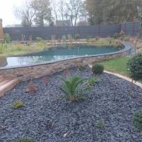 Terrasse Piscine Naturelle Plantations Artisan Paysagiste 38 Agrave Rennes Bretagne