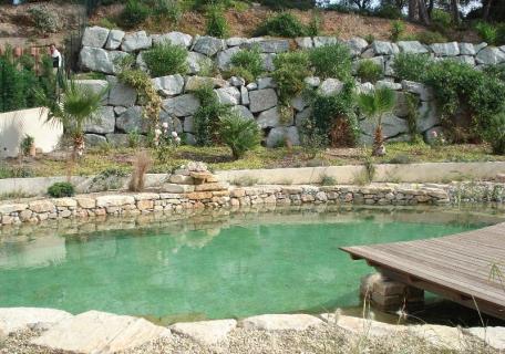Piscine naturelle - Bassin unique Piscine naturelle - Bassin unique