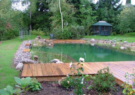 Piscine naturelle Bassin unique Piscine naturelle Bassin unique