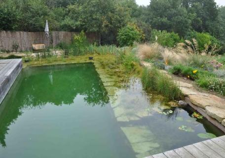 Piscine naturelle - Bassin unique Piscine naturelle - Bassin unique