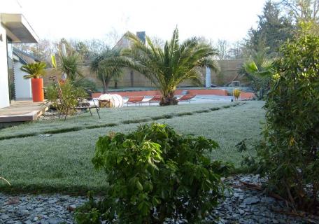 Plantation Palmier - Cesson Sévigné