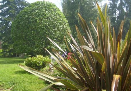 Entretien de jardin - Pacé