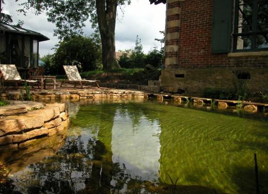 Piscine naturelle - Bassin unique