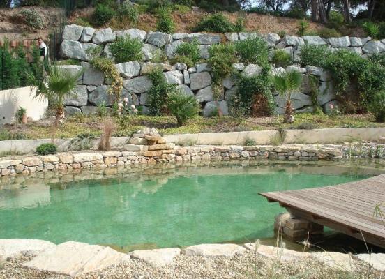 Piscine naturelle - Bassin unique