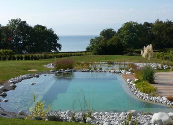 Piscine naturelle Bassins séparés