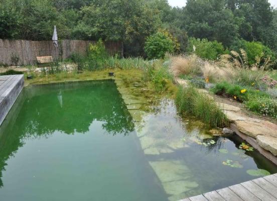 Piscine naturelle - Bassin unique