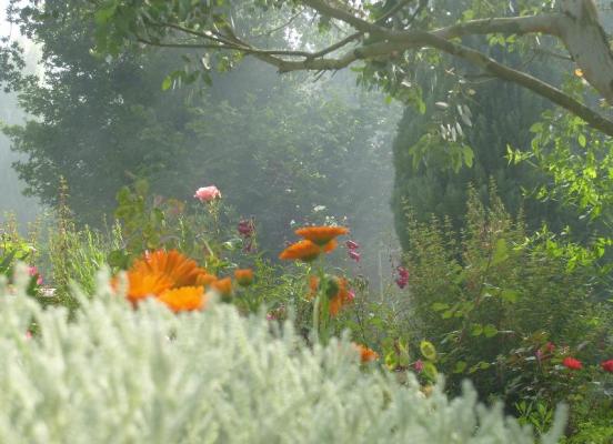 Beau jardin fleuri - Pacé