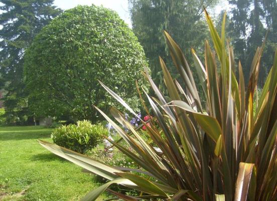 Entretien de jardin - Pacé